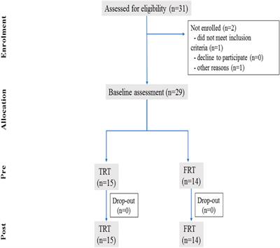 The Effect of Whole-Body Traditional and Functional Resistance Training on CAVI and Its Association With Muscular Fitness in Untrained Young Men